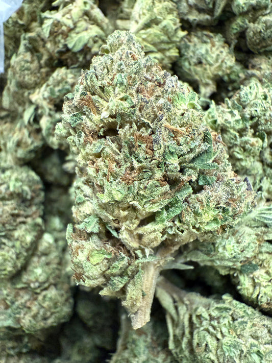1 Pound of GMO MAC THCA